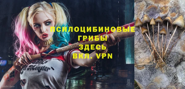 ешки Вяземский