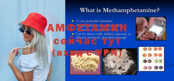 ешки Вяземский