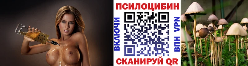 Купить закладки  Корсаков  Псилоцибиновые грибы мухоморы 